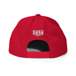 But first, oldies Snapback Hat