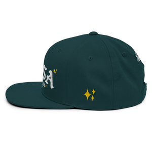 Snapback Hat
